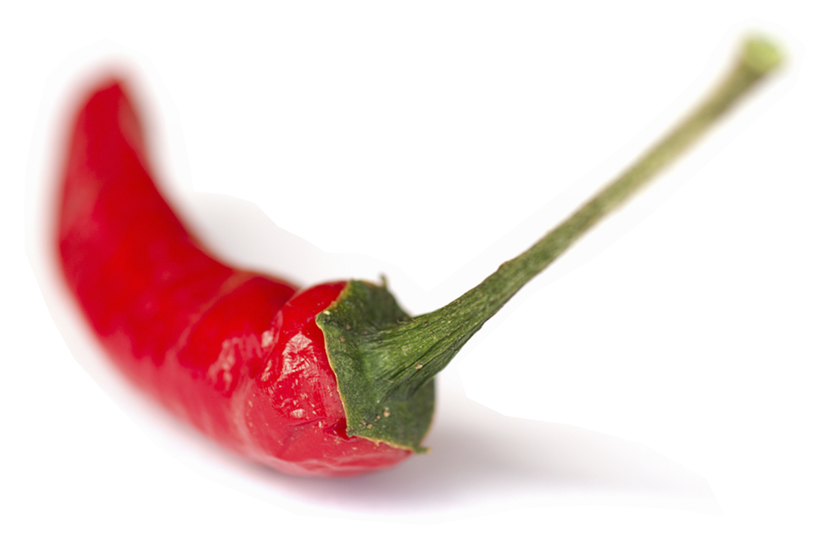 AFC Chilli