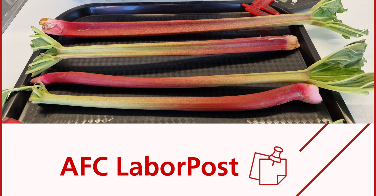 AFC Consulting Group | LaborPost – laber Rhabarber…?!